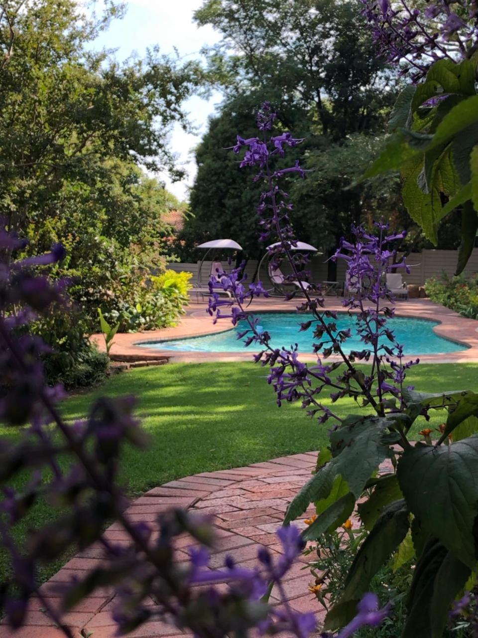 The Haystack On Homestead Johannesburg Exterior photo